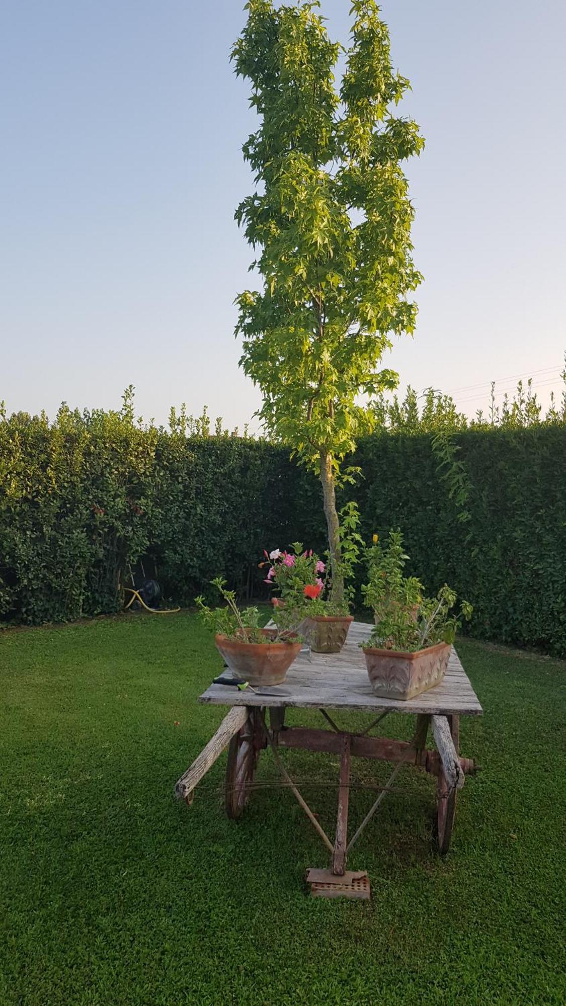 Leupupe Relax Cultura Mare Monti Appartamento Cascina